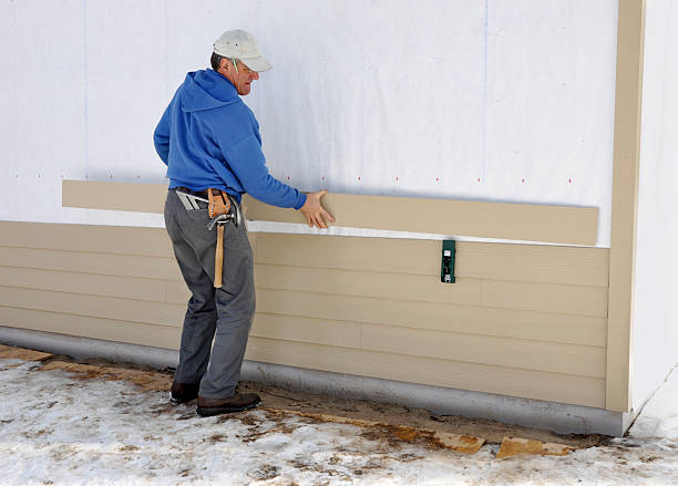 Best Stone Veneer Siding  in Erlanger, KY