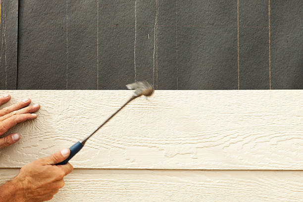Best Vinyl Siding Installation  in Erlanger, KY